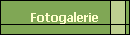 Fotogalerie