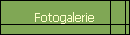 Fotogalerie