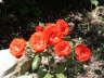 PICT00181