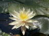 PICT0083