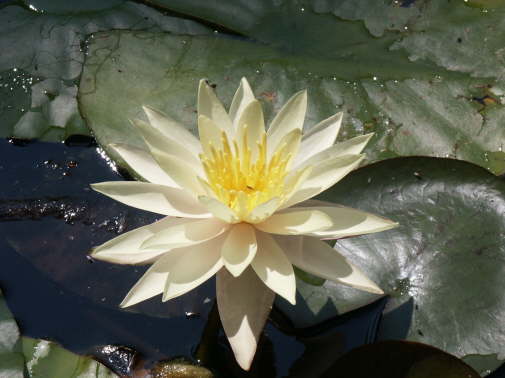 PICT0083