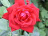 PICT00971