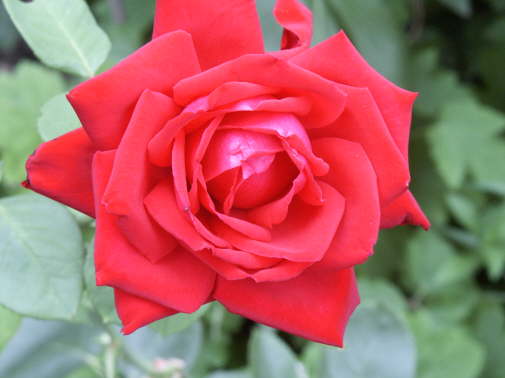 PICT00971
