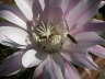 PICT0262
