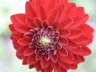 PICT0884